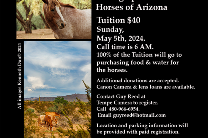 Salt River Wild Horses 2024 Benefit Workshop